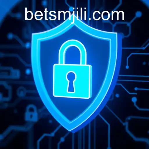 Understanding Privacy Policy in the Digital Age: A Focus on SMJILI